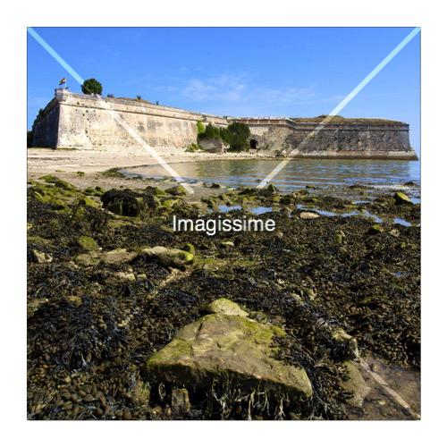 imagissime postcard